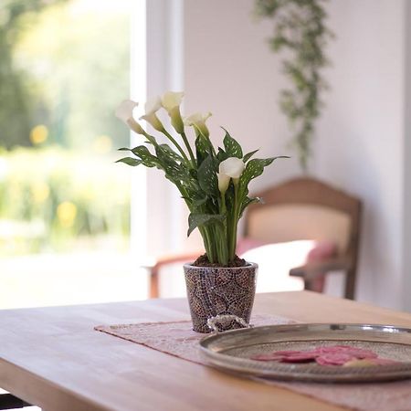 Ferienwohnung Schwalbennest Weinsheim  Eksteriør bilde