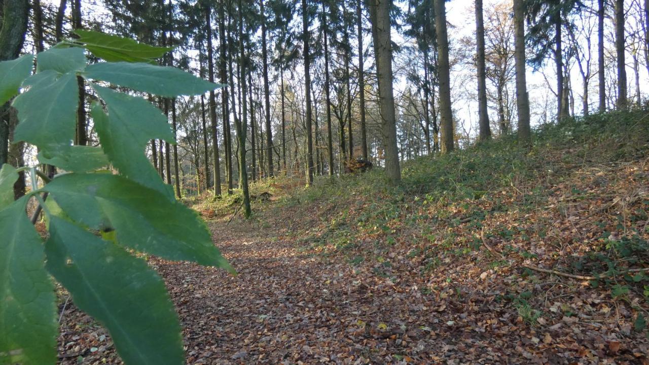 Ferienwohnung Schwalbennest Weinsheim  Eksteriør bilde